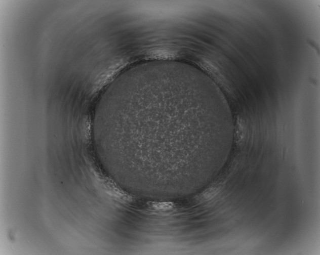 X0000101480355200807211404