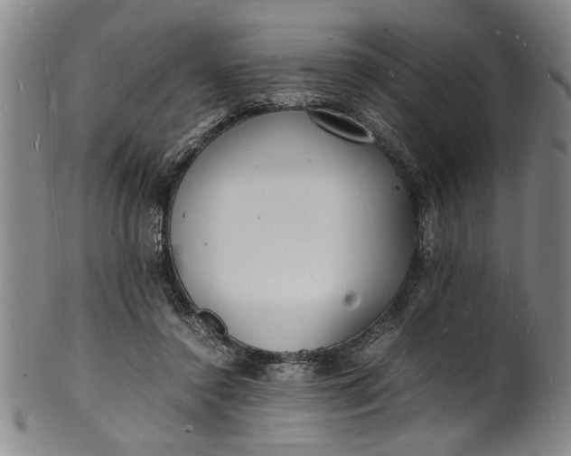 X0000101480356200807211404