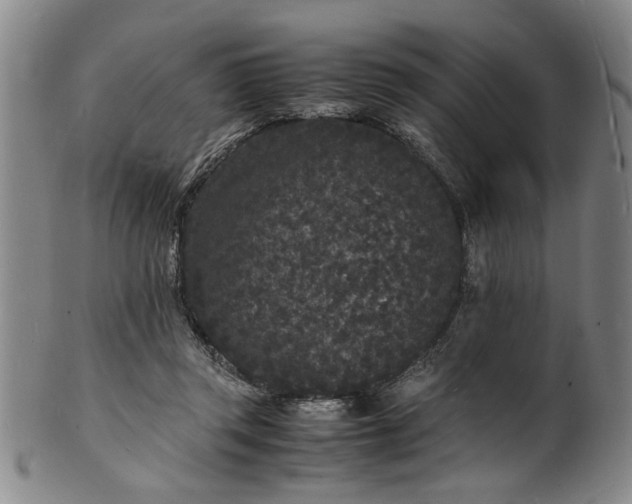 X0000101480357200807211404