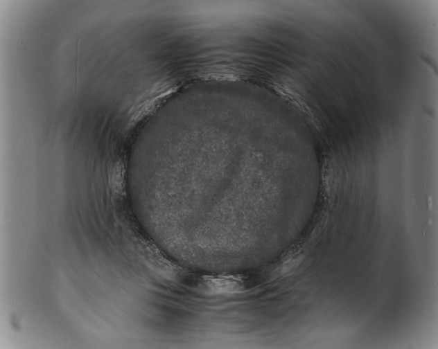 X0000101480359200807211404