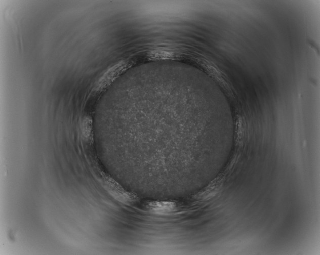 X0000101480361200807211404