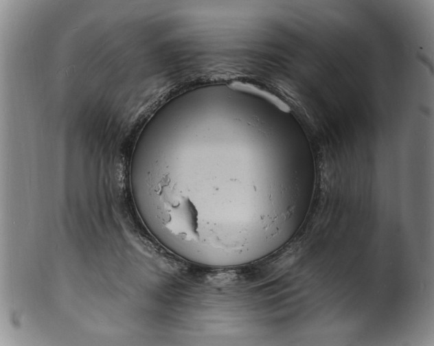 X0000101480362200807211404