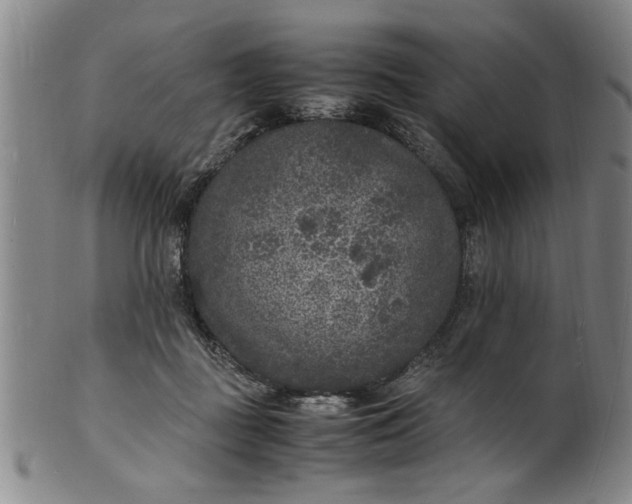 X0000101480363200807211404