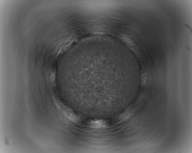 X0000101480365200807211404