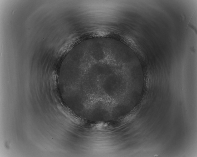 X0000101480366200807211404