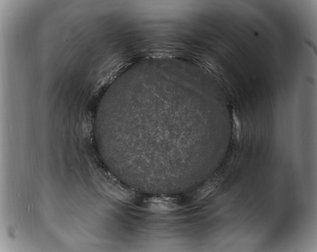 X0000101480367200807211404