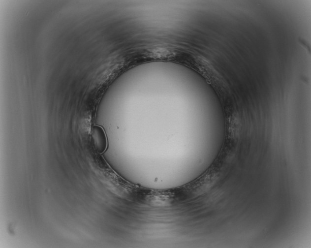 X0000101480368200807211404