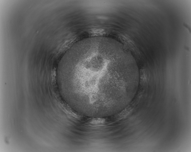 X0000101480369200807211404