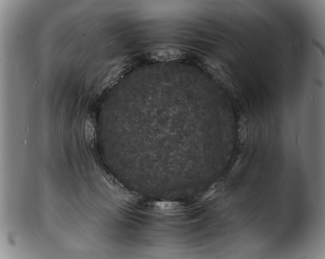 X0000101480371200807211404