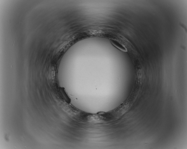 X0000101480372200807211404