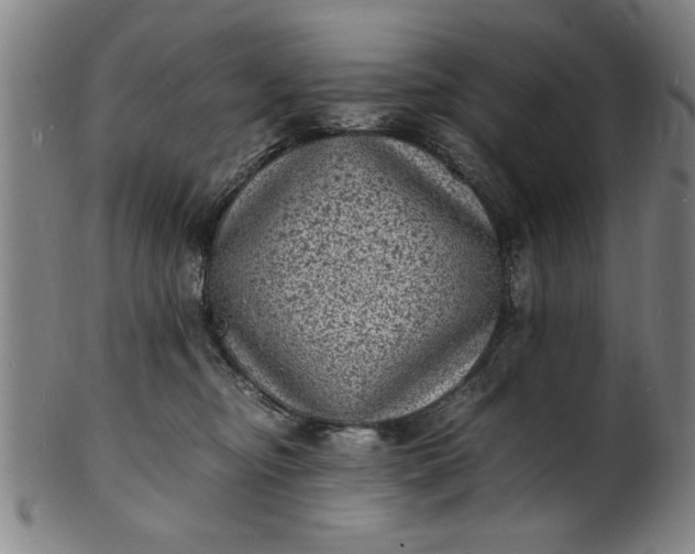 X0000101480374200807211404