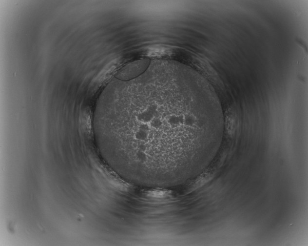 X0000101480375200807211404