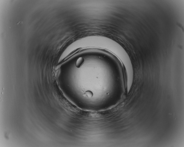 X0000101480376200807211404