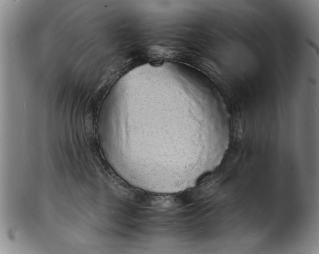 X0000101480377200807211404