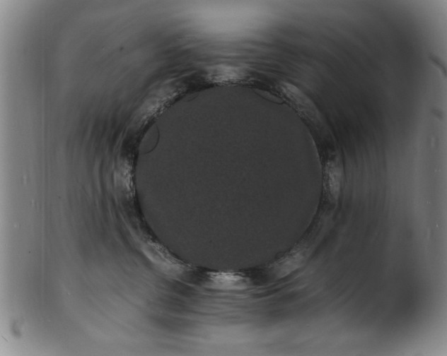 X0000101480380200807211405