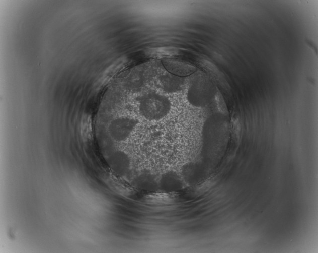 X0000101480381200807211405