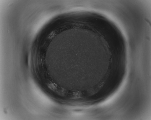 X0000101480382200807211405