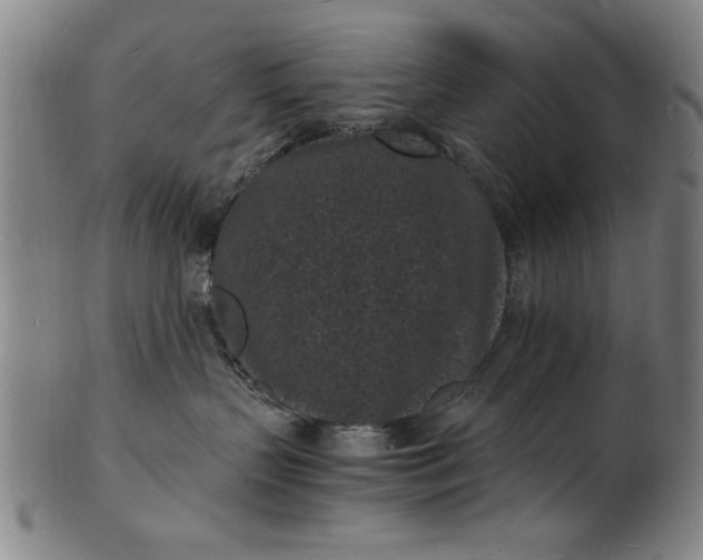 X0000101480383200807211405