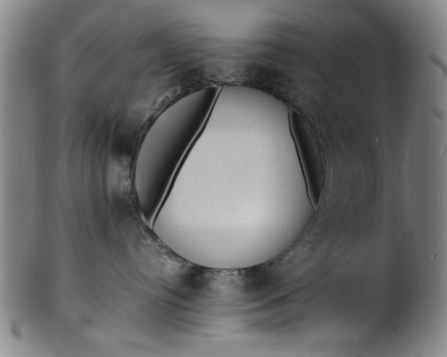 X0000101480384200807211405