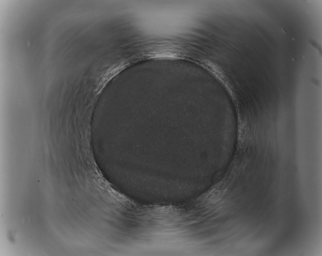 X0000101480385200807211404