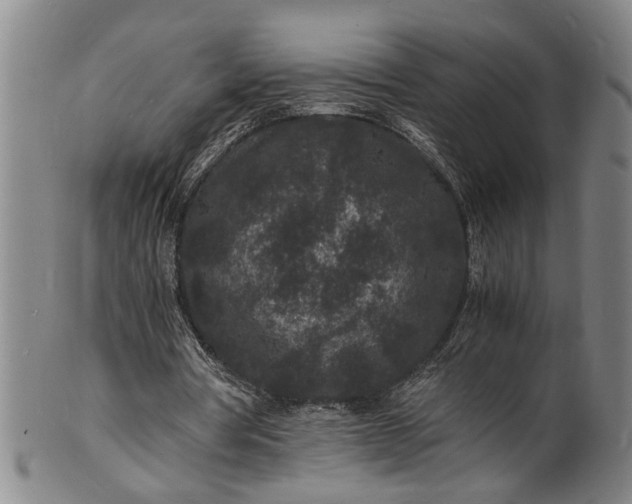 X0000101480386200807211404