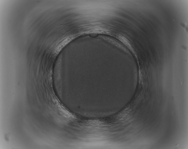 X0000101480389200807211404