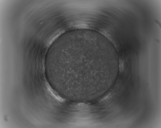 X0000101480390200807211404