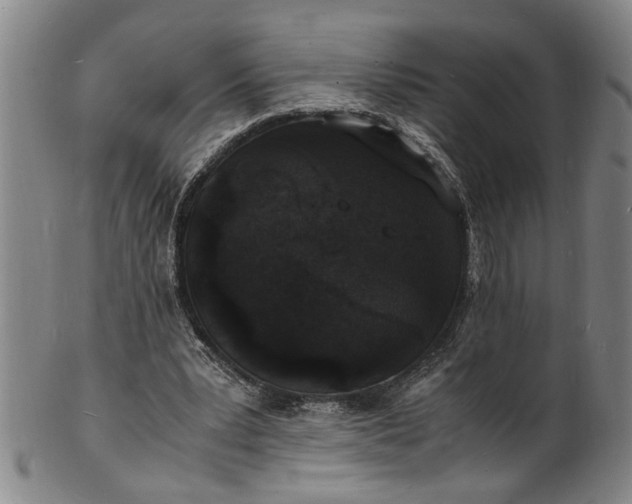 X0000101480391200807211404