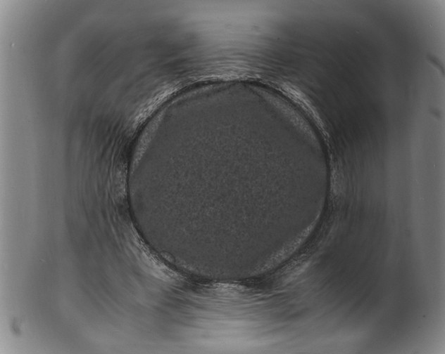 X0000101480393200807211404