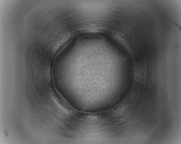 X0000101480394200807211404