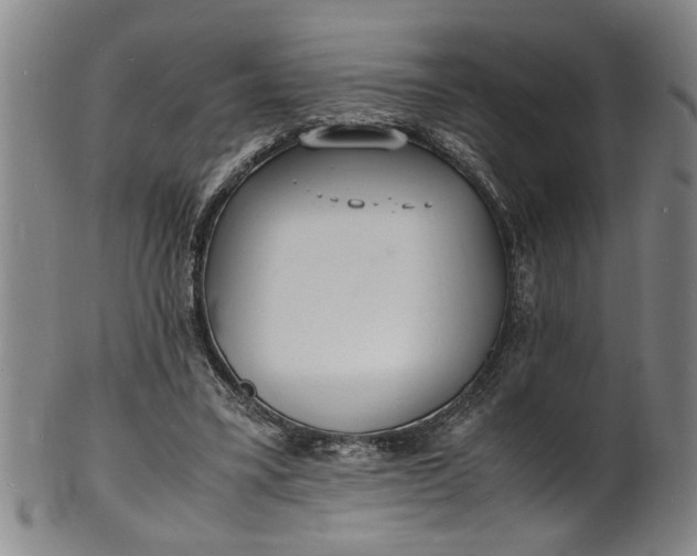 X0000101480395200807211404