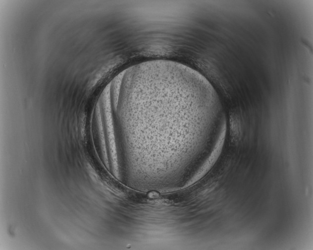 X0000101480396200807211404