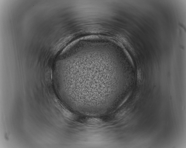 X0000101480397200807211404