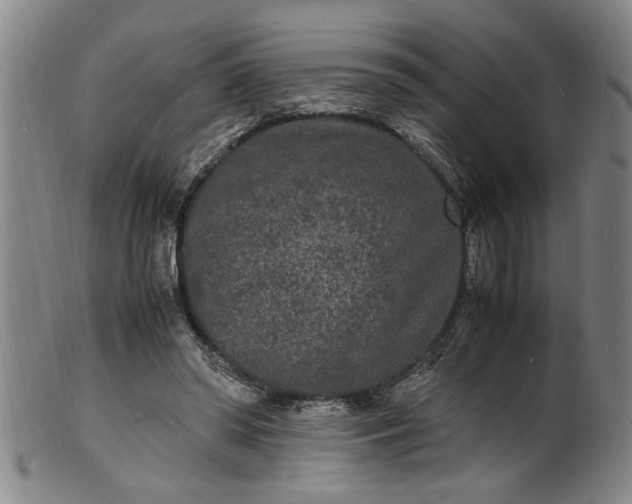 X0000101480398200807211404