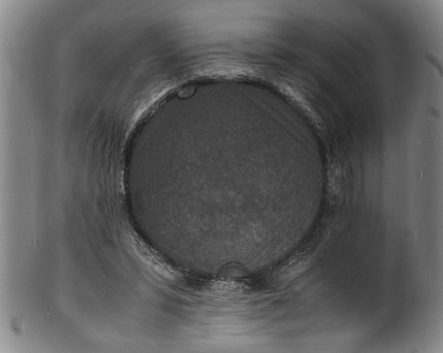 X0000101480399200807211404