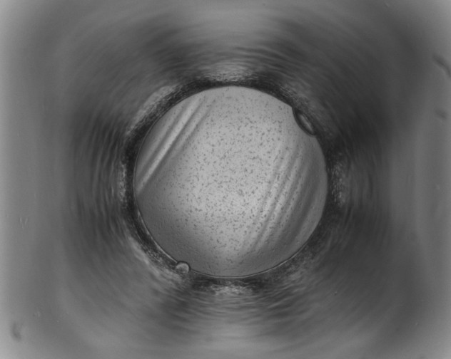 X0000101480400200807211404