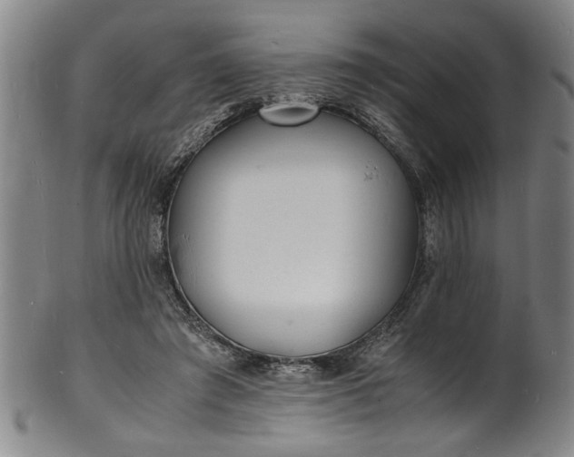 X0000101480401200807211404