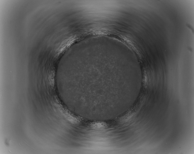 X0000101480402200807211404