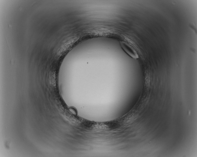 X0000101480403200807211404