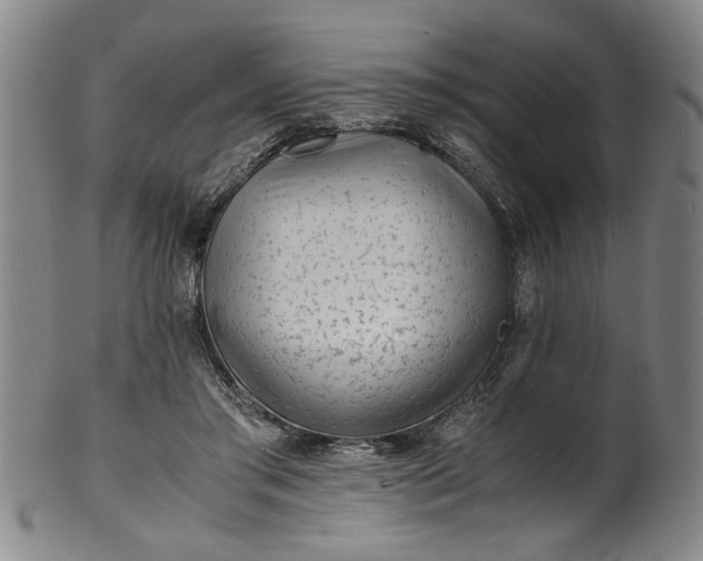 X0000101480405200807211404