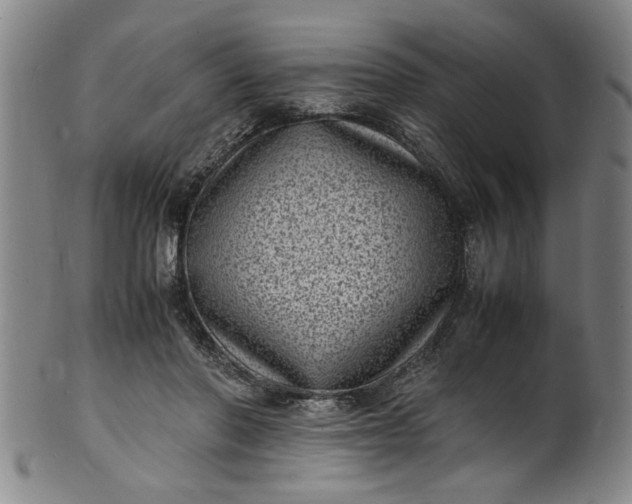 X0000101480406200807211404