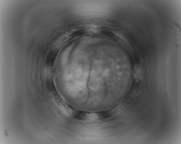 X0000101480409200807211404