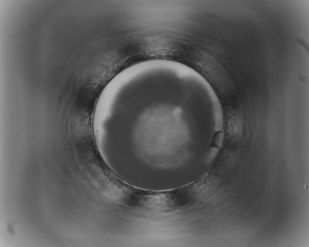 X0000101480411200807211404