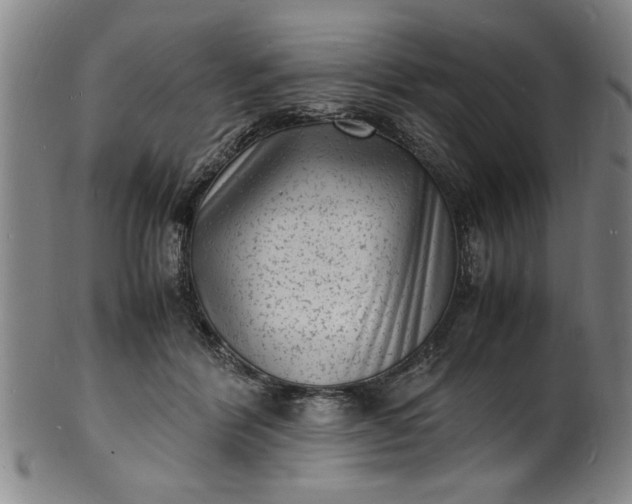 X0000101480412200807211404