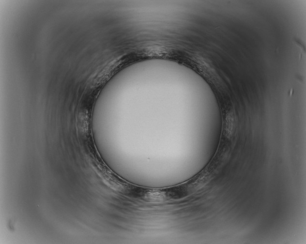 X0000101480413200807211404