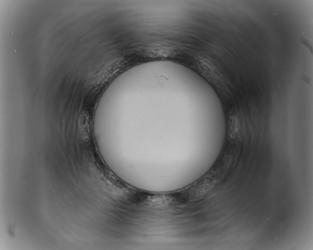 X0000101480414200807211404