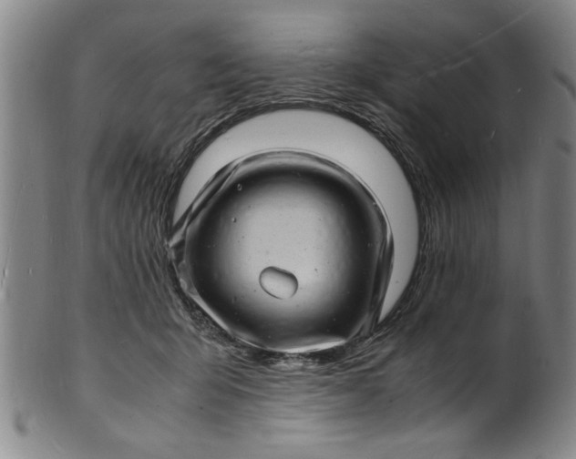 X0000101480415200807211403