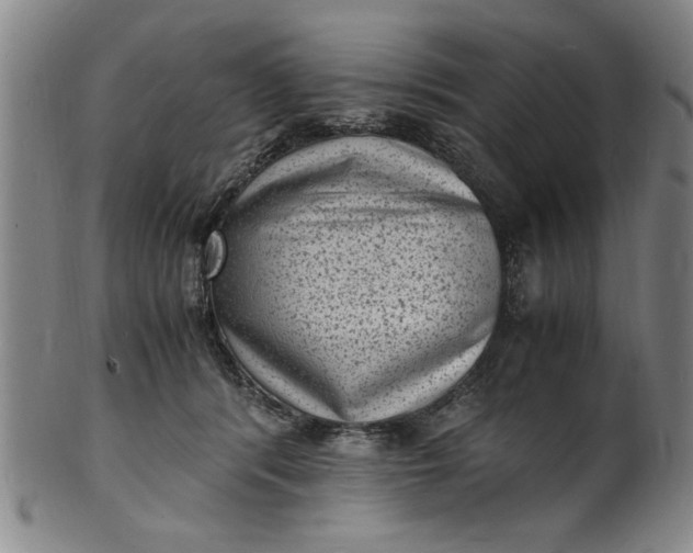 X0000101480416200807211403