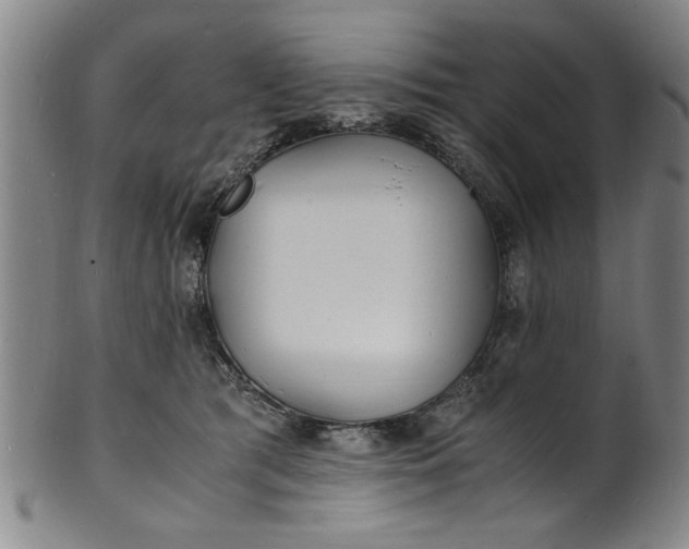 X0000101480417200807211403