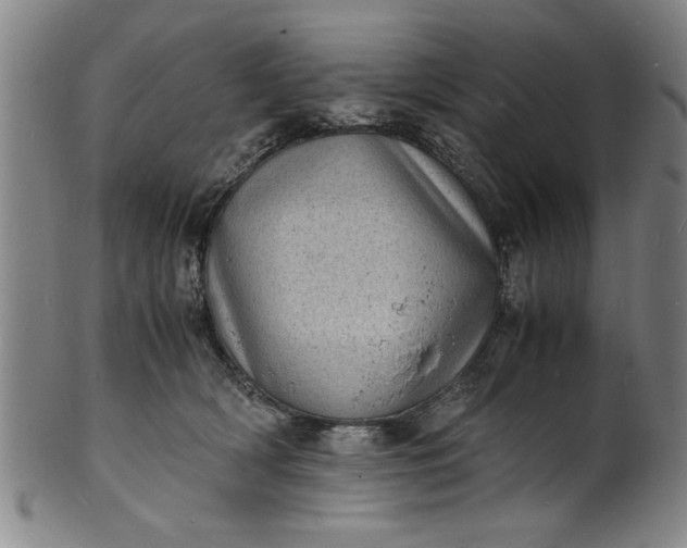 X0000101480418200807211403